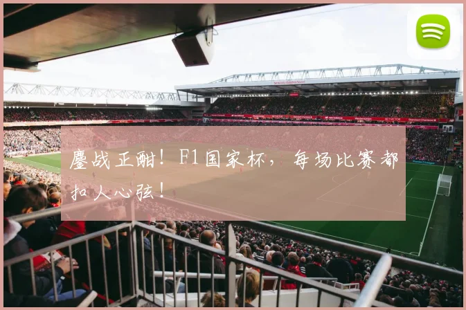 鏖战正酣！F1国家杯，每场比赛都扣人心弦！