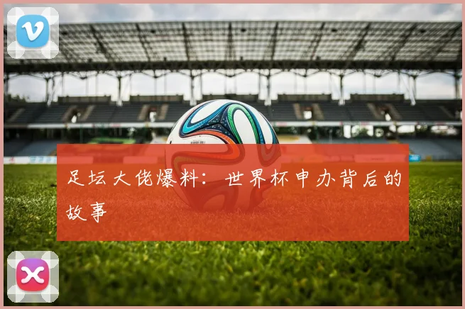 足坛大佬爆料：世界杯申办背后的故事