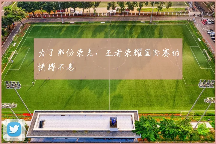 为了那份荣光，王者荣耀国际赛的拼搏不息