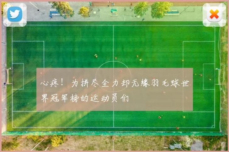心疼！为拼尽全力却无缘羽毛球世界冠军榜的运动员们